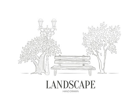 Hand Drawn Landscape Banner Template with Wooden Bench under Trees Vector Illustration