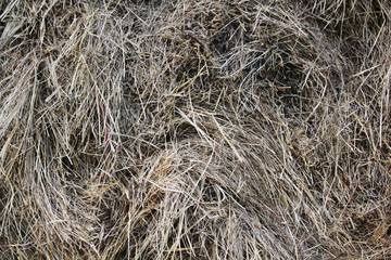 Dry hay bale texture background