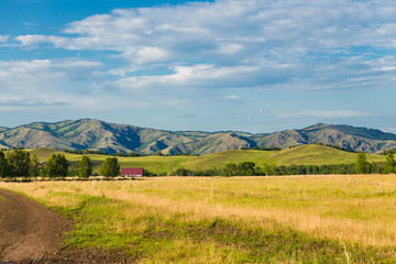 Blue sky with white clouds, trees, fields and meadows with green grass, against the mountains. Composition of nature. Rural summer landscape.