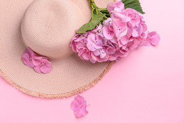 Beautiful hydrangea flowers and hat on color background