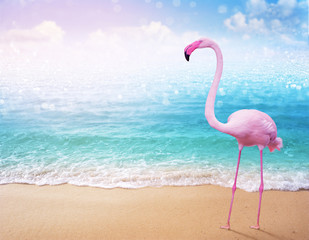pink flamingo on beautiful sandy beach and soft blue ocean wave summer concept background - obrazy, fototapety, plakaty