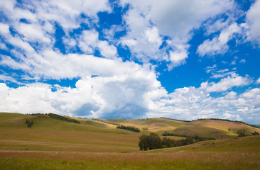 Blue sky with white clouds, trees, fields and meadows with green grass, against the mountains. Composition of nature. Rural summer landscape.