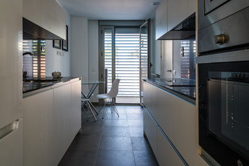 Stylish contemporary kitchen interior in white color
