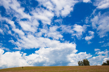 Blue sky with white clouds, trees, fields and meadows with green grass, against the mountains. Composition of nature. Rural summer landscape.