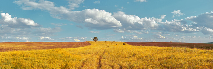 Central Russia agricultural countryside with hills and country road. Summer landscape of the Samara valleys. Russian countryside. High resolution file for large format printing.