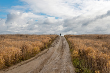 Country road rut with puddles through agricultural field