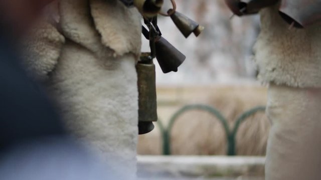 Huge bouncing bells on the waist of a bulgarian kuker