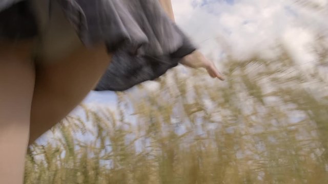 Young woman hand touches spikelets of wheat in field.