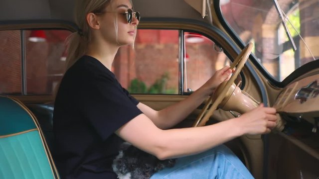 beautiful blondie woman with dog sitting in his vintage car wait family shopping internet social media technology 5g