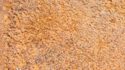Corroded metal rusty wall plate background with copy space