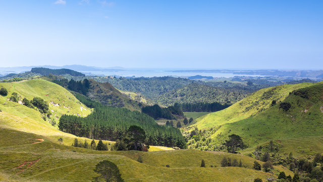 landscape Matamata