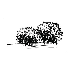 Shrub. Hand drawn black bush, isolated on white background. Simple doodle vector illustration.