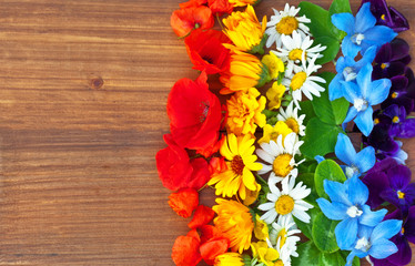 Bright colored stripes of seasonal flowers: poppies, marigolds, chamomile, delphinium and pansies on a wooden background. Top view, flat lay, place for text. Summer floral background
