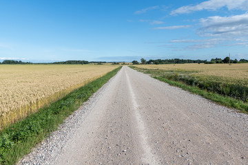 Fototapeta na wymiar Gravel road in countryside of Latvia.