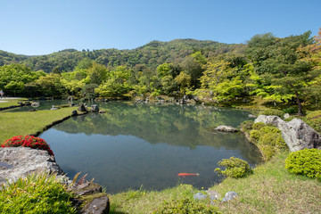 Water pond, tree with reflection in Japanese zen garden Kyoto Japan