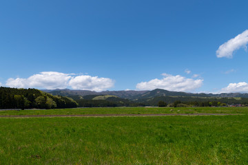 高原の景色