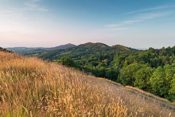Fototapeta premium View of the Malvern Hills from British Camp Worcestershire England