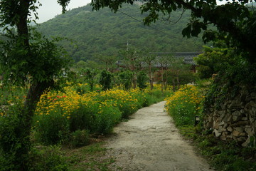 Fototapeta na wymiar Buyongdong Garden of South Korea