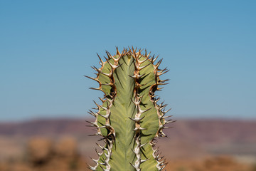 Namibia Afrika Rundreise