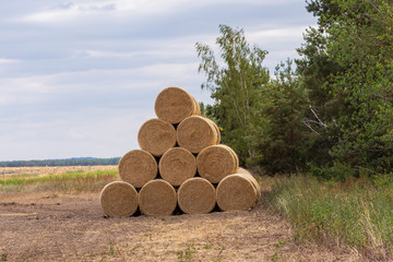 gestapelte Strohballen am Rand eines Feldes