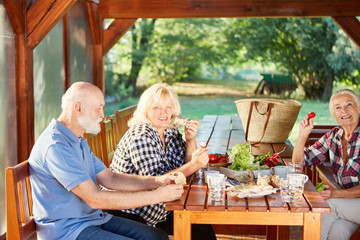 Gruppe Senioren beim Picknick essen im Garten