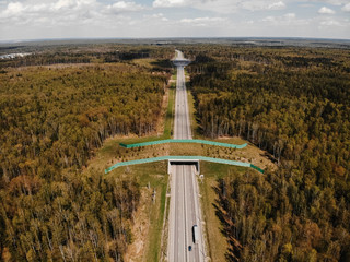 Wildlife crossing-a bridge over the highway in the forest. Kaluga region. Russia