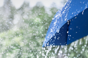 Blue umbrella under heavy rain against nature background. Rainy weather concept. - obrazy, fototapety, plakaty