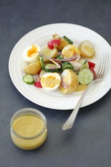 potato, cucumber, red radishes and egg salad with mustard sauce