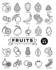 Domestic and exotic fruit thin line web icon set. 25 simple vector symbols of pomegranate, mangosteen, durian, kiwanis carambola and other vegetarian food. Outline icons collection.