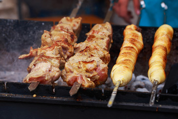 Meat kebab on skewers