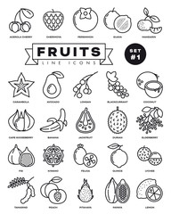 Domestic and exotic fruit thin line web icon set. 25 simple vector symbols of fig, durian, jackfruit, cape gooseberry, guava and other vegetarian food. Outline icons collection.