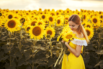 Cute woman in a blossoming sunflower field in a yellow dress. rural happy life