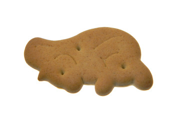 cookie isolated on white background