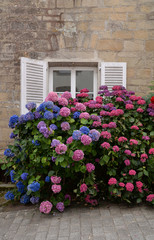 Naklejka premium Fenster mit Hortensien in der Bretagne