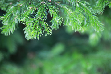 End of summer season in the park