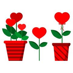 Set of flowers in a heart-shaped: three flowers in red stripped pot, single flower, flower with bow