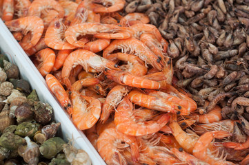 Closeup of fresh shrimps at the market
