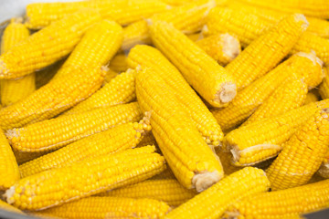 Corn cobs close up