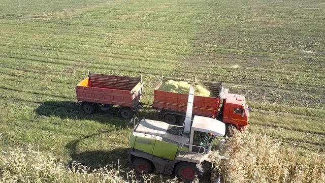 upper view modern forage harvester and red lorry with trailers gather corm foliage for silage in field