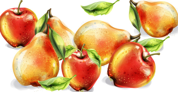 Apple, pear and peach Vector watercolor set. Colorful fruits detailed painted styles