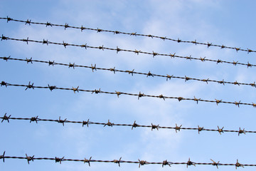 Wire mesh_02／鉄条網_02