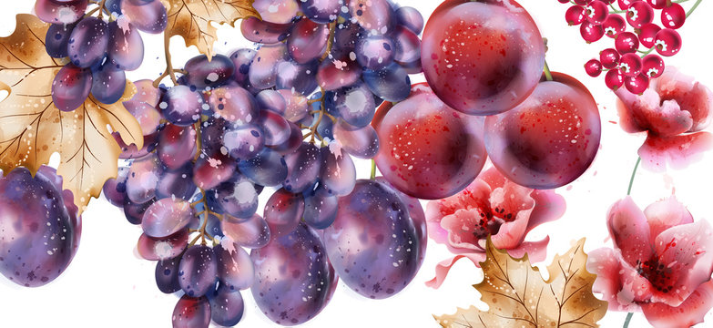 Grapes vector watercolor card. Autumn fall background. juicy harvest. painted style illustrations