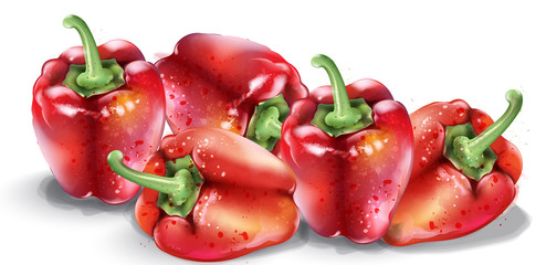 Red pepper vector watercolor. Fresh healthy vegetables isolated