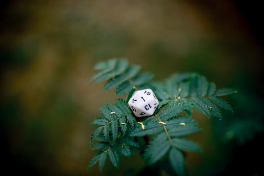 playing dice for role-playing and board games