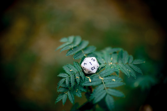 playing dice for role-playing and board games