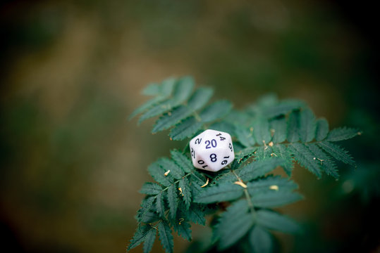 playing dice for role-playing and board games