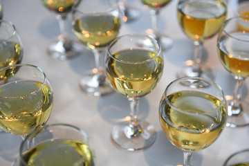 Glasses of white wine on the table