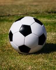 A textbook soccer ball on the garden grass