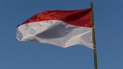 Naklejka na ściany i meble Indonesian flag, texture and bacckground