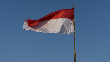 Fototapeta na wymiar Indonesian flag, texture and bacckground